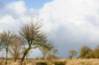 het terrein wordt doorsneden door geulen