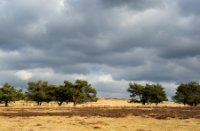 Vergezichten van de Terletse Heide