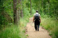 Unal in de Oisterwijkse Bossen en Vennen