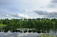 Brandven - Oisterwijkse bossen en vennen