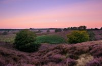 Vroeg in de ochtend bij de Posbank