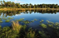 Vennen van de kampina