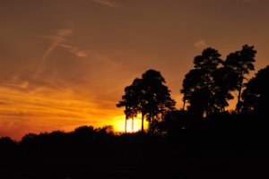 Zonsopgang bij de Kampina