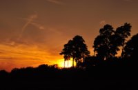 Zonsopgang bij de Kampina