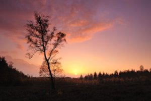 Amerongse Bos zonsondergang - LEE filters herfst set