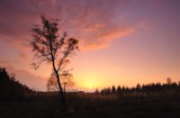 Amerongse Bos zonsondergang - LEE filters herfst set, Amerongse Bos