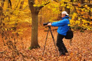 Rifat Uzun in Amerongse Bos - herfst set LEE filters