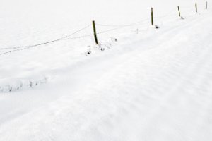 Minimalistisch Amerongse Bovenpolder