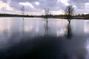 Midden Delfland Broekpolder