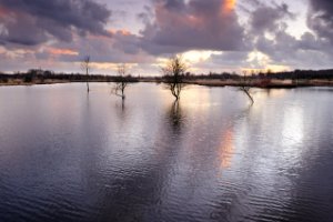 Midden Delfland Broekpolder