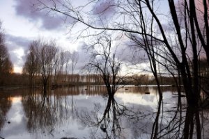 Midden Delfland Broekpolder