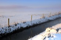 Amerongse Bovenpolder onder sneeuw, Amerongse Bovenpolder