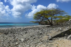 Bonaire - Washington Slagbaai National Park