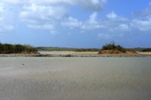 Gotomeer - Washington Slagbaai National Park