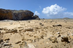 Washington Slagbaai National Park