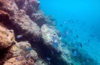 Bonaire National Marine Park, Bonaire National Marine Park