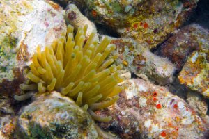 Bonaire National Marine Park