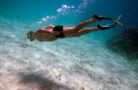 Snorkelen - Bonaire National Marine Park, Bonaire National Marine Park