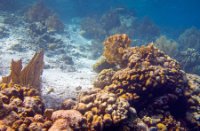 Bonaire National Marine Park, Bonaire National Marine Park