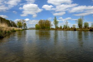 De Linge is een rivier die in de Betuwe