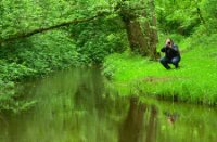 Yilaydin bij Kampina - Beerze, Kampina