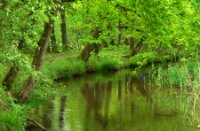 Kabbelend Beerze, Kampina