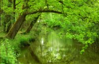 Oase van rust langs de Beerze, Kampina