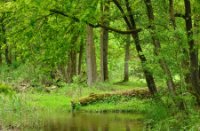 Langs de Beerze, Kampina