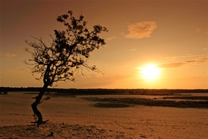 Zonsondergang drunense duinen