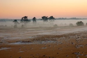 Nationaal Park De Hoge Veluwe