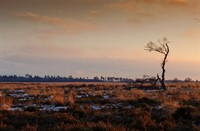 Deelerwoud in de winter... Erg koud!