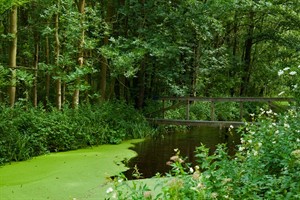 Kleine houten bruggetjes over watergangen