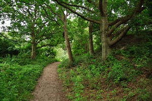 Wandelpad in Brede Water