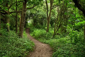 Wandelpad in Brede Water