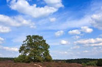 Nationaal Park Veluwezoom