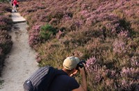 Fotograferen in Nationaal Park Veluwezoom