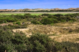 Uitzicht vanaf de wandelpad van De Muy