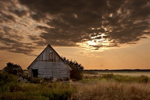 Texel