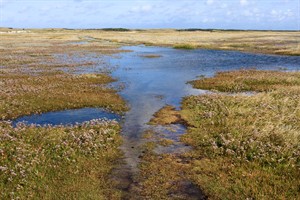 De Slufter bij hoog water