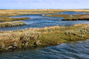 De Slufter bij hoogwater