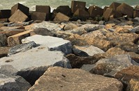 Maasvlakte, Maasvlakte