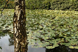 Nationaal Park De Hoge Veluwe