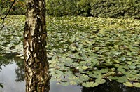 Nationaal Park De Hoge Veluwe