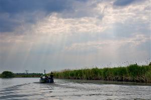 Varen op de Biesbosch