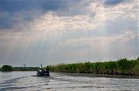 Varen op de Biesbosch, Nationaal Park De Biesbosch