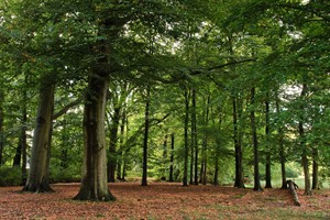 Landgoed Broekhuizen