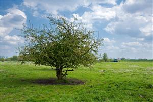 Dromerige uitzichten