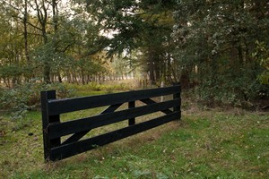 Langs het wandelpad van Hijkerveld