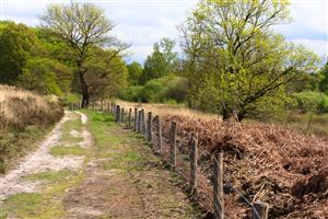 Wandelen in De Meinweg