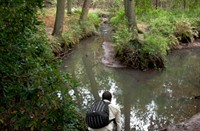 Fotograaf Lutfi in Gorp de Leij, Gorp de Leij - Abcoven